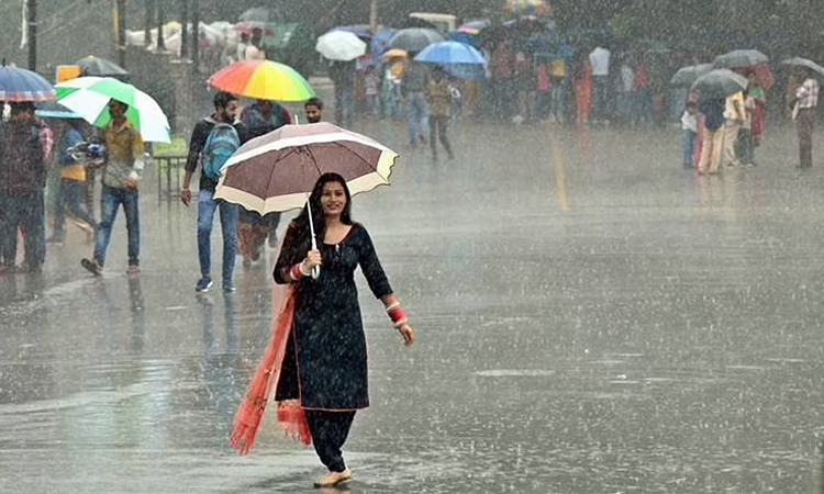 IMD places Raigad, Palghar under Orange Alert ; Predicts heavy rain even today
