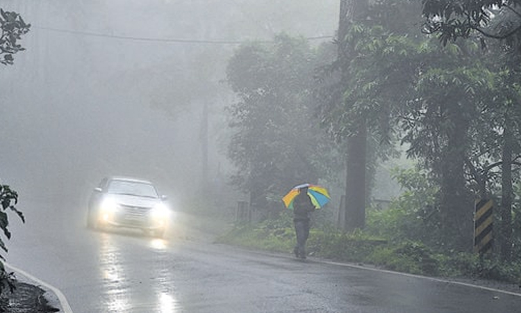 Rain Forecast : Heavy rain forecast for these districts; Weather forecast of next 3 days