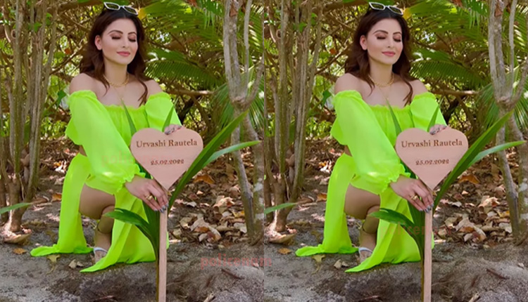 Urvashi Rautela Intents To Plant 100 Trees Each Year On Her Birthday To Protect The Environment- Check Out The Video