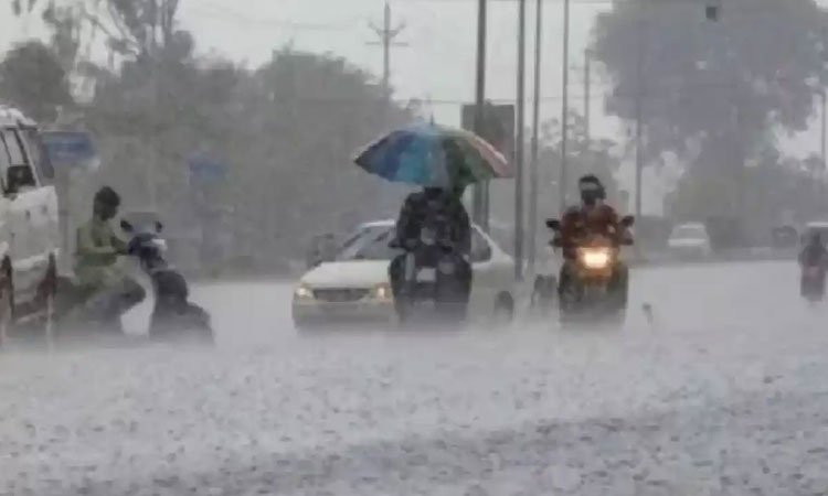 Maharashtra rain update : Heavy rain forecast in Mumbai and Konkan coast, red alert in many districts