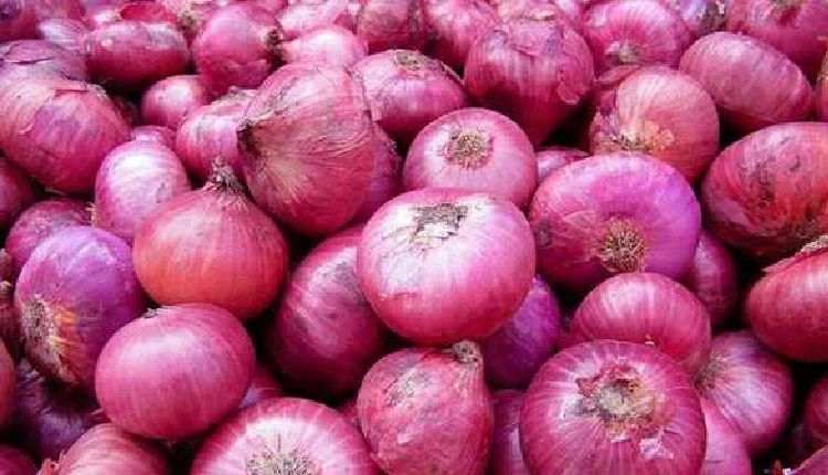 onion | No bar on export of onion from India: Govt
