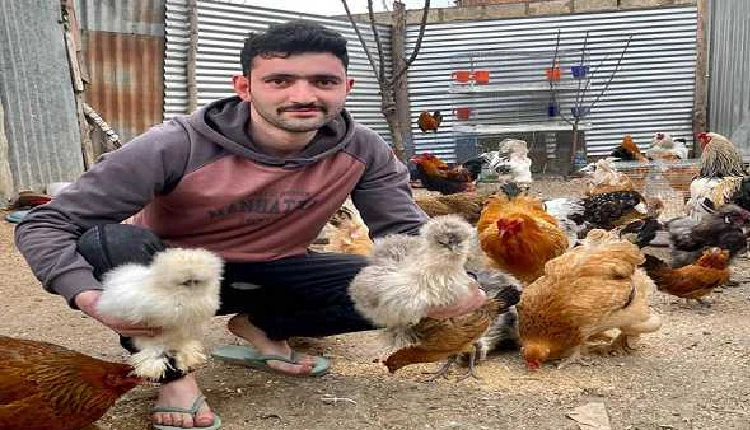 Rahil Mushtaq | Kashmiri MBA introduced foreign poultry breeds in the valley