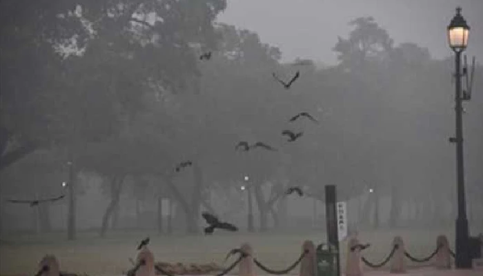 Indian Meteorological Department (IMD) | Delhi witnesses foggy morning, minimum temp settled at 15.8 degrees