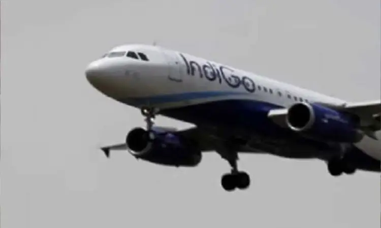 IndiGo scales up international operations, lines up 174 weekly flights