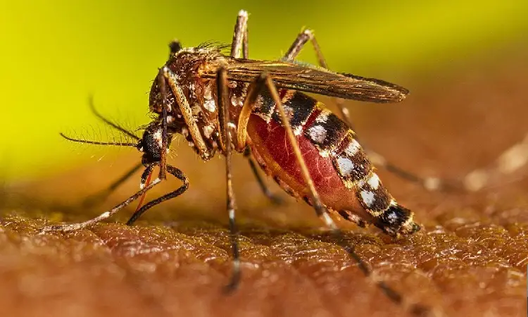 Dengue Cases In Pune | Rise in Dengue Cases Raises Concerns during Monsoon Season in Pune