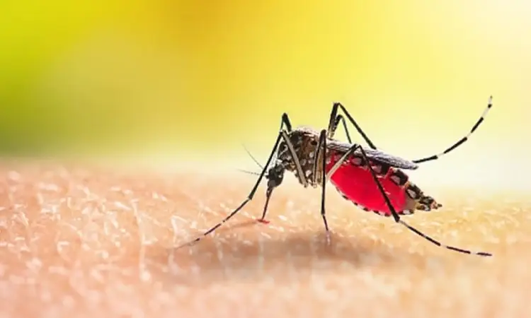 Pune News | Dengue Outbreak: First Fatal Case Claims Life in Pune, Prompting Urgent Measures
