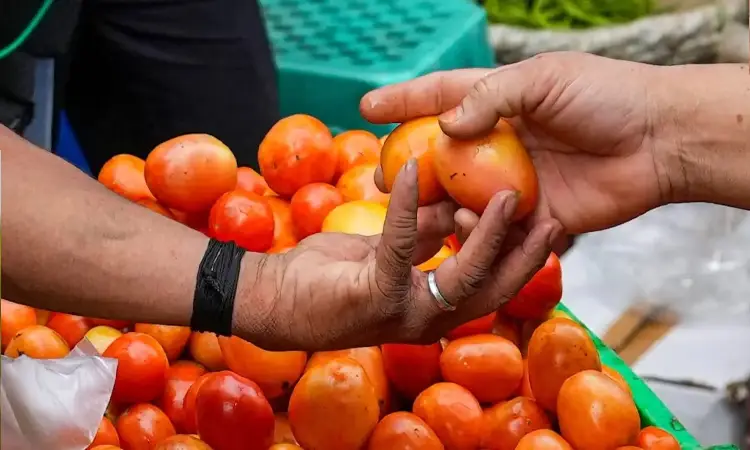Tomato Prices In Pune | Relief for Pune Consumers as Tomato Prices Fall Below Rs 100/kg