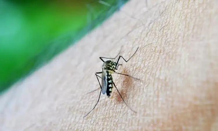 Pune Health News | Dengue Cases on the Rise in Pune: Health Authorities on High Alert
