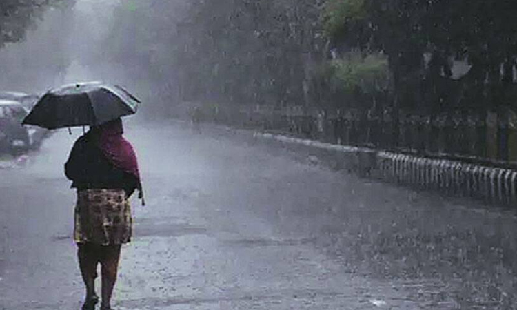 Weather Update | Heavy rain warning in five districts including Pune today; Meteorological Department issued red alert