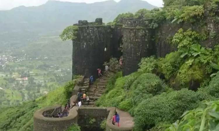 sinhagad-fort-pune-citizens-barred-from-entering-sinhagad-fort-pune-forest-department News in Hindi