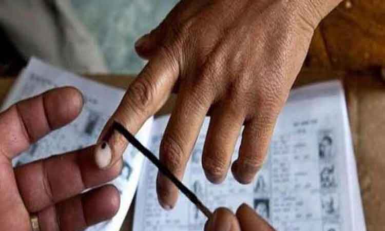 Pune Lok Sabha Election 2024 | Dignitaries in various fields have stepped forward to increase the percentage of voting! For the first time, state level and district wise representatives will appeal to the voters