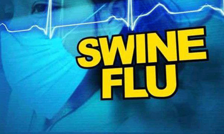 Swine-flu