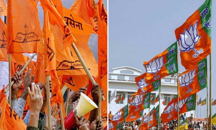 Shivsena and BJP Flags