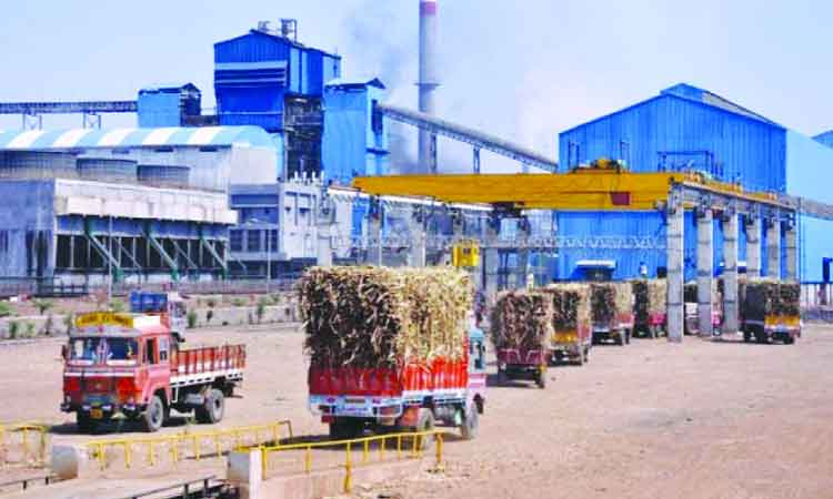 Sugar Mills In Maharashtra | In the general election, the grand coalition government was gracious, 21 sugar factories were cleared of debt, 15 factories were in the ruling group