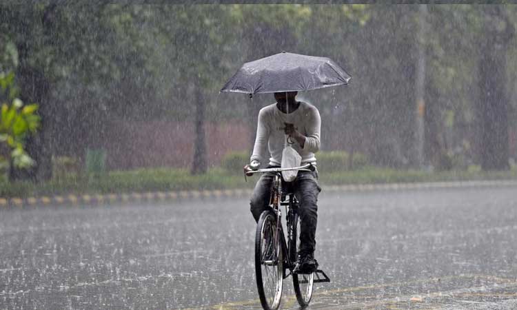Monsoon 2022 Update monsoon 2022 update will arrive early 5 days says imd