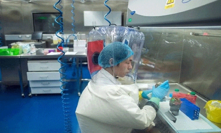 coronavirus news wuhan lab staff sought hospital care covid outbreak