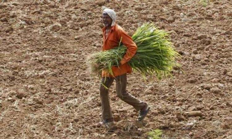 these farmers will not get pm kisan samman nidhi yojana benefit know the reason