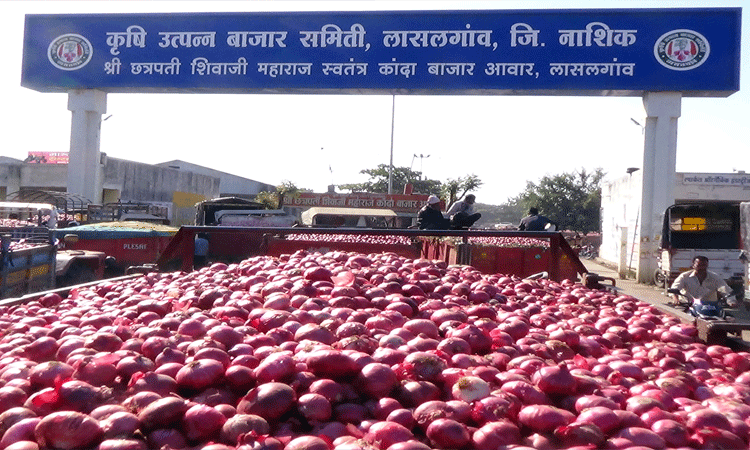Onion auction in Lasalgaon from Monday Admission to the market committee only after testing the corona