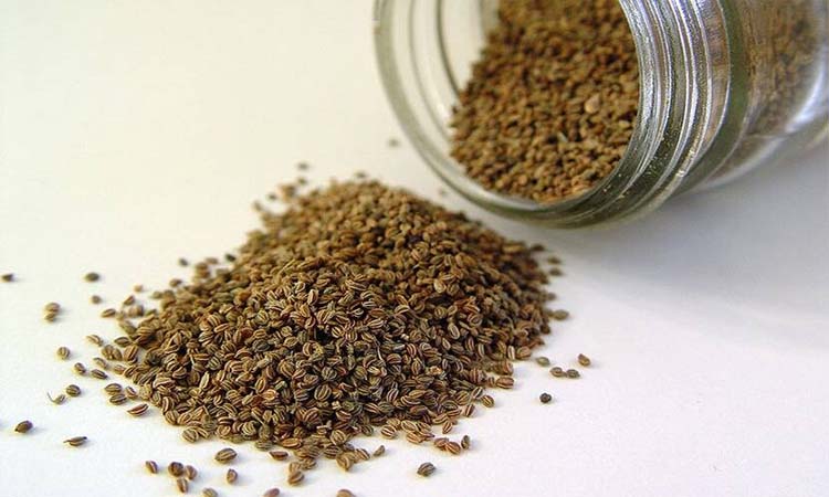 carom seeds