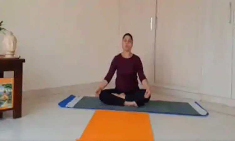 yoga-grivashakti