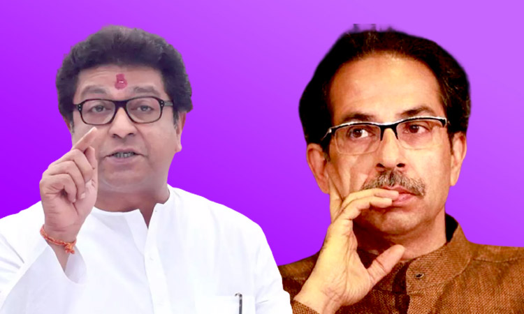 Raj Thackeray mns cheif raj thackeray supports maharashtra government decision to put name plate in marathi on shops