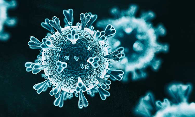 new corona virus variant found in french region of brittany
