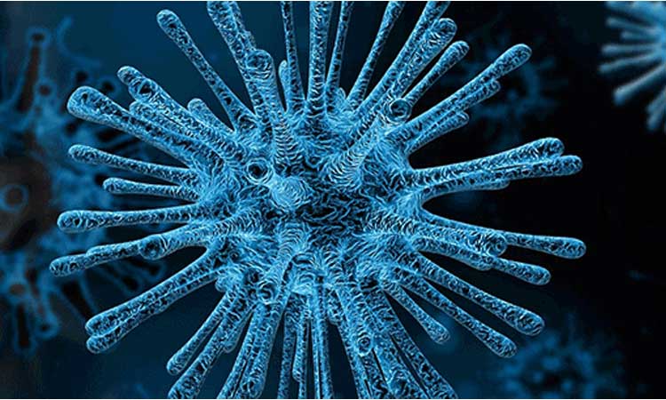 coronavirus will prove be seasonal if it persists many years says