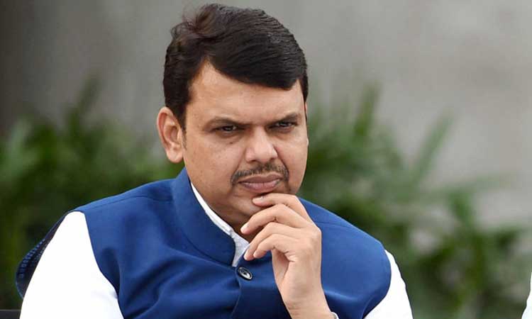 1250 crore scam in tree planting campaign during fadnavis government