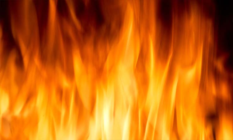 six children burnt alive straw house catches fire bihar araria