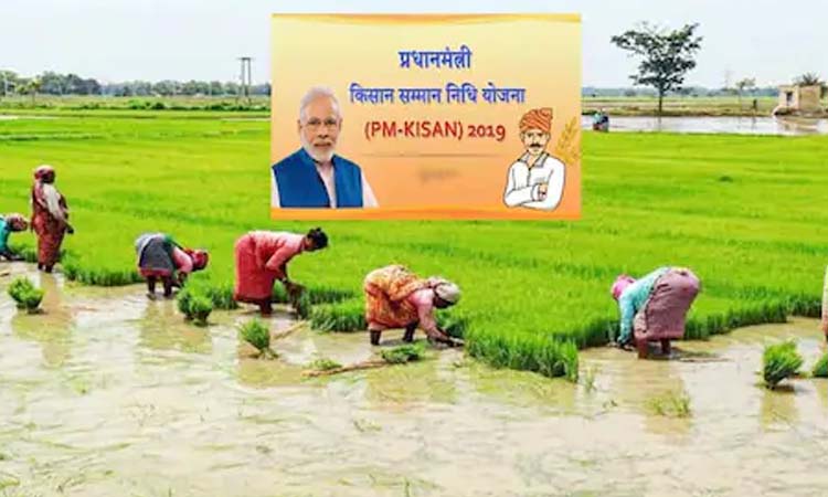 pm kisan yojana next installment will affect if your application is not correct