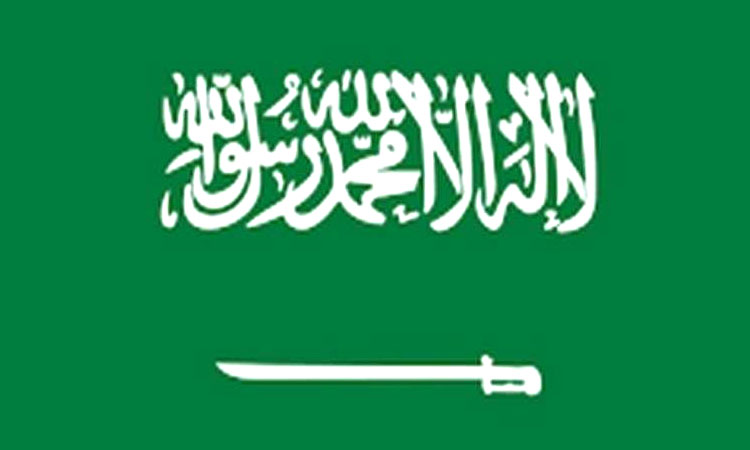 middle east saudi arabia shuts down 184 chinese websites for marketing fake products