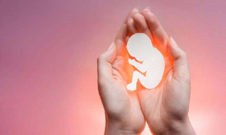 bill to extend abortion time limit passed by rajya sabha know how many weeks of pregnancy can be abortion
