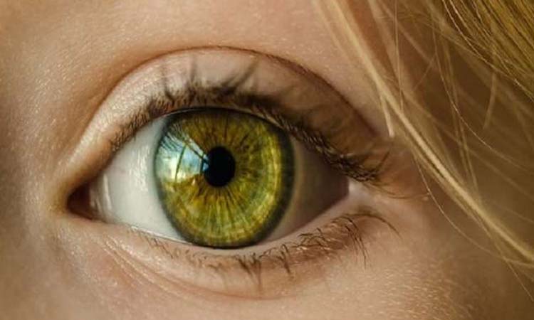 america study shows that mortality is associated with vision impairment know more