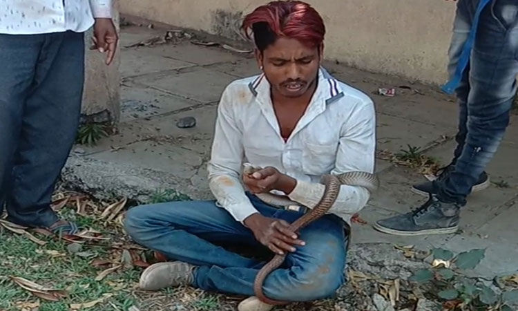 Lasalgaon Young man's fingernails having fun with a snake in a drunken state