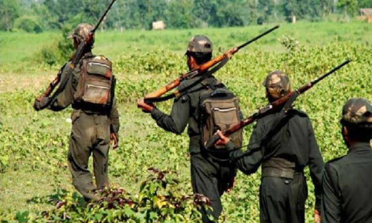 gadchiroli five maoists killed in forest area
