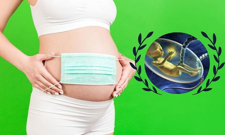 pregnant woman can develop antibodies in her baby research