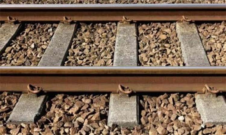 love birds committed-suicide-jumping-railway in jalna