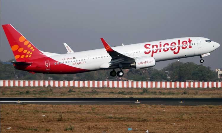 spicejet offers full ticket refund if flyers taking rt pcr test via spicehealth com test covid positive