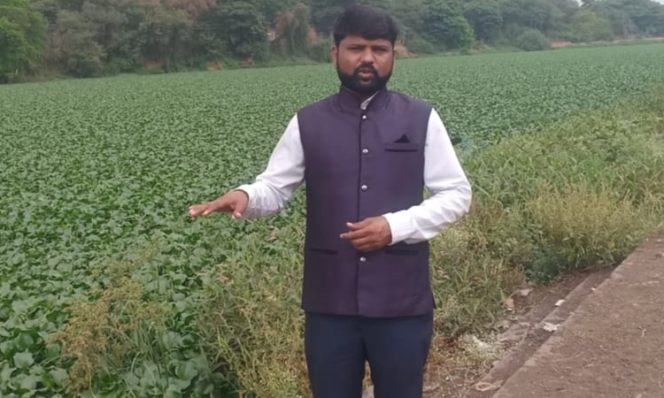 Ad .Sanjay Sawant's statement to the Chief Minister to remove water hyacinth from rivers and canals