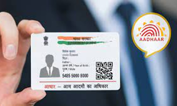 which mobile number and email id is entered with aadhaar know the easy way business news amdm