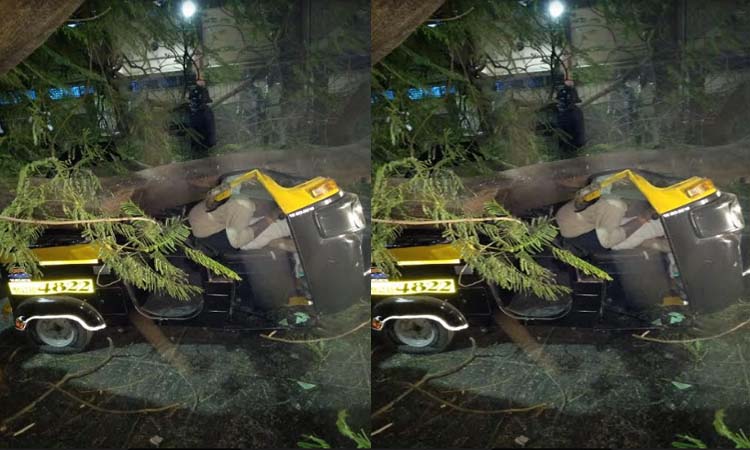 tree fall down on auto riksha auto riksha driver and passenger dead