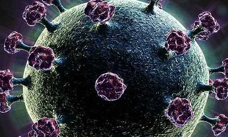 coronavirus triple mutation variant in india emerges as fresh worry in covid battle