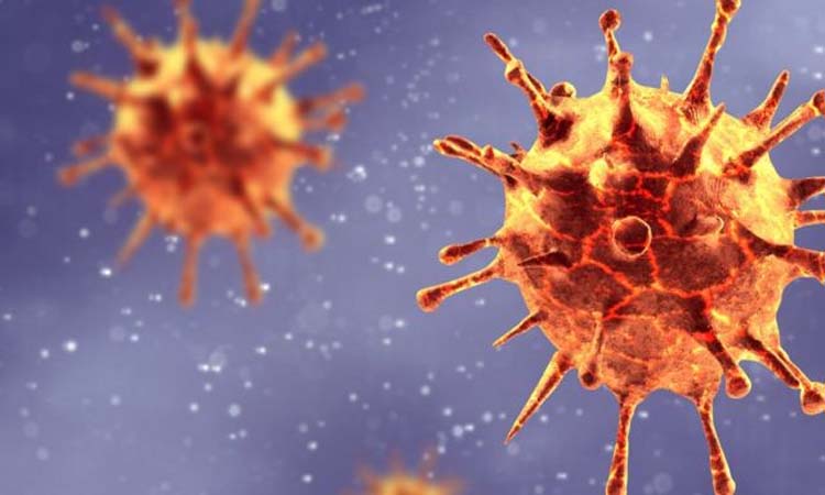 Shirur coronavirus news updates