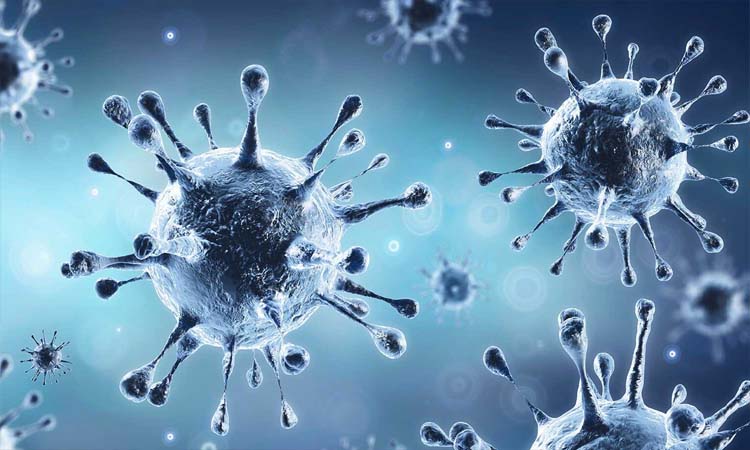Coronavirus in india 4 april updates