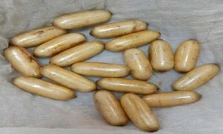 mumbai crime cocaine worth rs 13 crore 35 lakh seized by dra after two and half kg of drugs hide in stomach