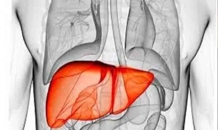 Liver: Impairment of liver function due to wrong lifestyle, take care of this