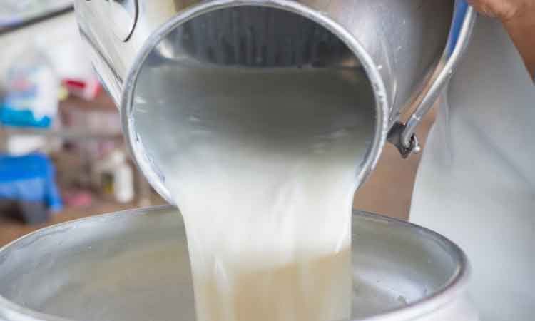 Gokul Milk Price Hike gokul milk price hike by rs 4 rupeess in all over maharashtra