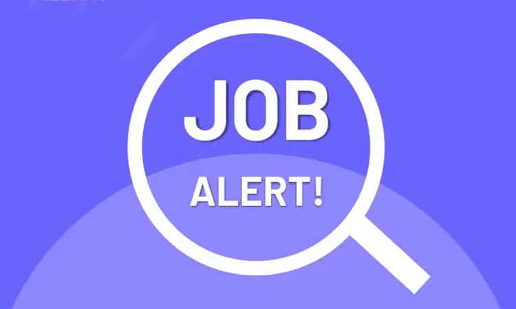 Job Alert: Bumper recruitment for paramedical posts started; Learn the process