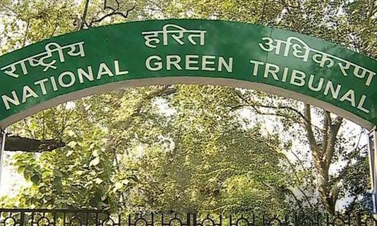 Pune: Investigate Stone Crusher and Mine and submit report; Type in the morning, command of NGT