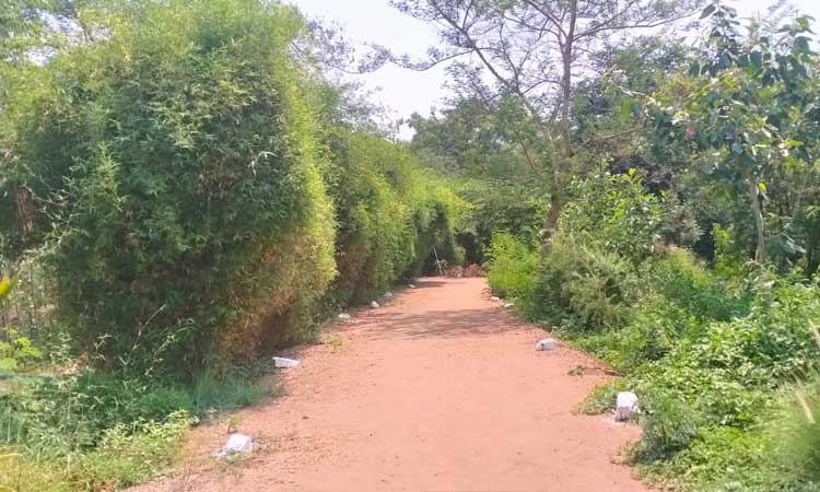 Pune: Nala Garden at Sopanbagh is not gardan but Oxygen Park - Retired Colonel Patil